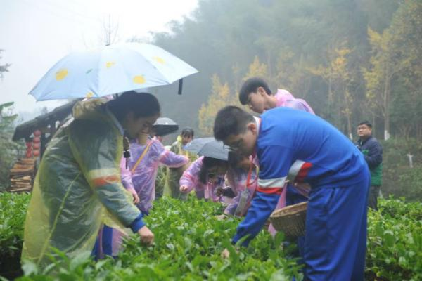 秦谷田園之桃源茶農